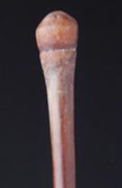 Pestle - Baule People, Ivory Coast (5165) 1